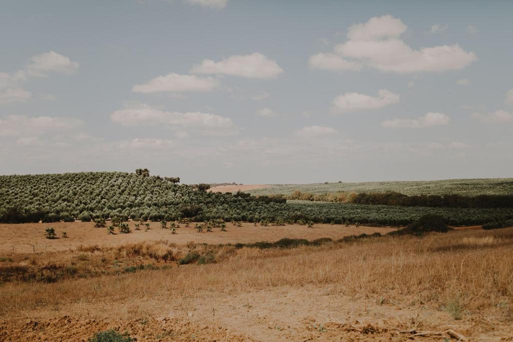 Monte Do Ramalho Villa Авис Екстериор снимка