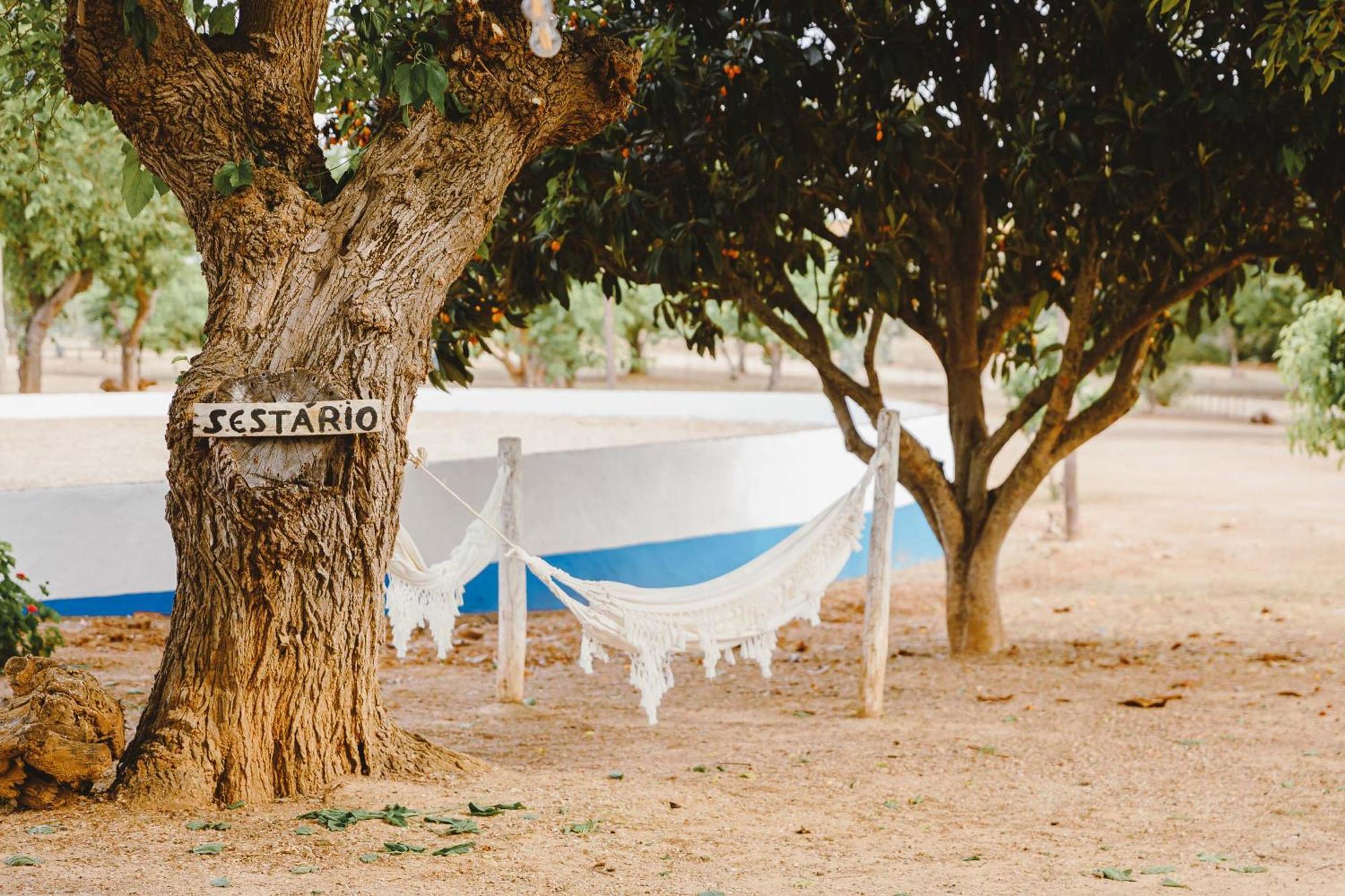 Monte Do Ramalho Villa Авис Екстериор снимка